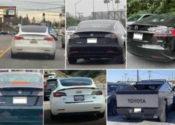 ¿Tesla en la encrucijada? Impopularidad y el precio de la polarización