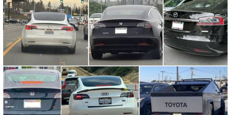 ¿Tesla en la encrucijada? Impopularidad y el precio de la polarización