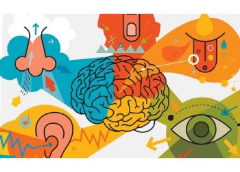 Cómo activar los 5 sentidos de tu marca para un impacto duradero