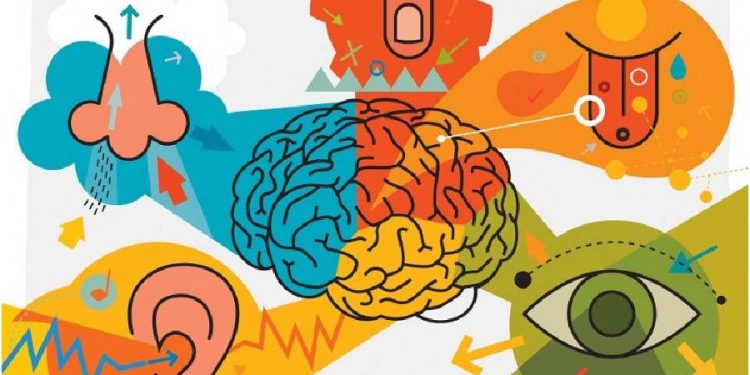 Cómo activar los 5 sentidos de tu marca para un impacto duradero