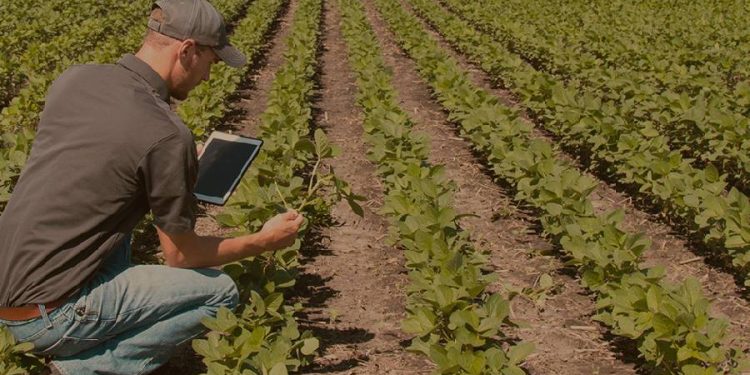 sector agropecuario