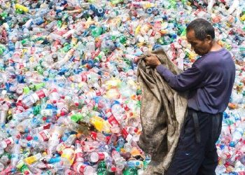 La era del reciclaje celulósico comienza en China
