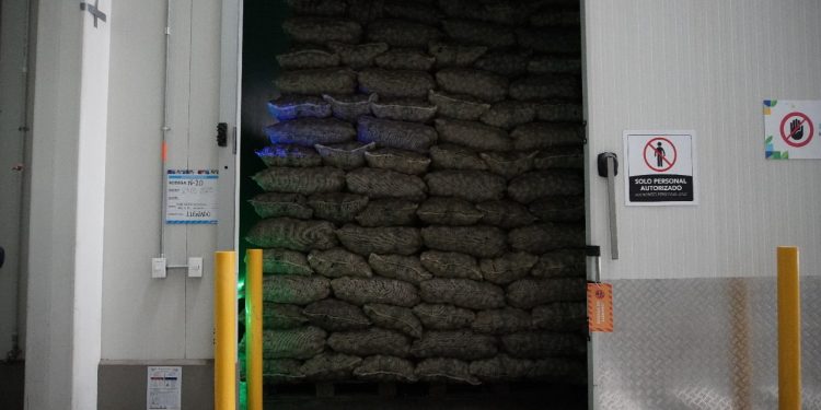 Revolución en la agroindustria, PepsiCo impulsa el desarrollo sostenible