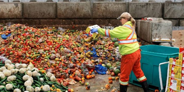 Nueva ley en España: Adiós al desperdicio alimentario en bares y supermercados