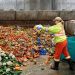 Nueva ley en España: Adiós al desperdicio alimentario en bares y supermercados