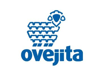 Ovejita: Una historia de tradición y modernidad en el corazón de Venezuela