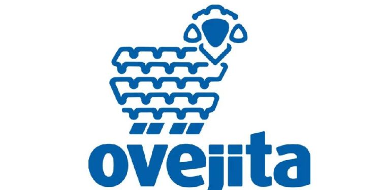 Ovejita: Una historia de tradición y modernidad en el corazón de Venezuela