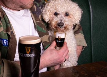 Este pub de Londres lanza cerveza especial para perros y revoluciona la experiencia pet friendly