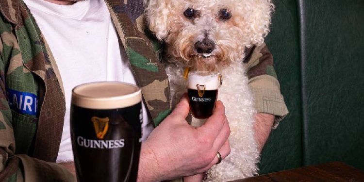 Este pub de Londres lanza cerveza especial para perros y revoluciona la experiencia pet friendly