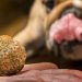 Gabrica presenta Dogo: El alimento natural para mascotas en albóndigas cocidas al vapor