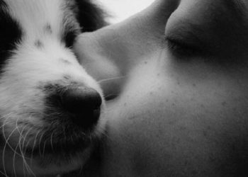 La compañía de las mascotas podría tener el mismo impacto emocional que una pareja