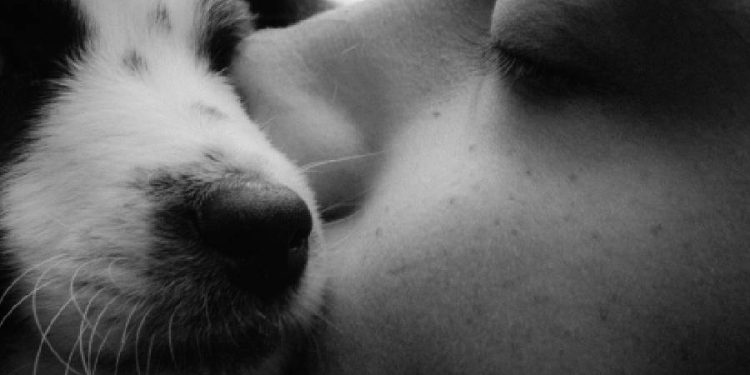 La compañía de las mascotas podría tener el mismo impacto emocional que una pareja