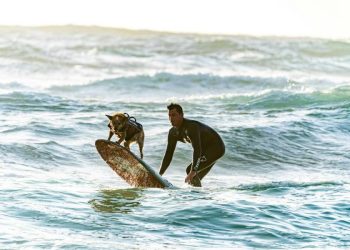 Beneficios del ejercicio conjunto entre humanos y perros