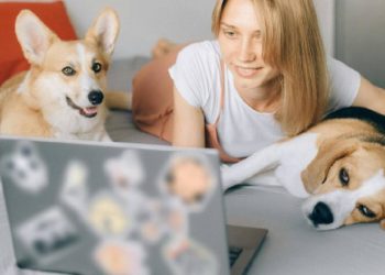 Cómo se posicionan las marcas más recordadas en servicios digitales y mascotas
