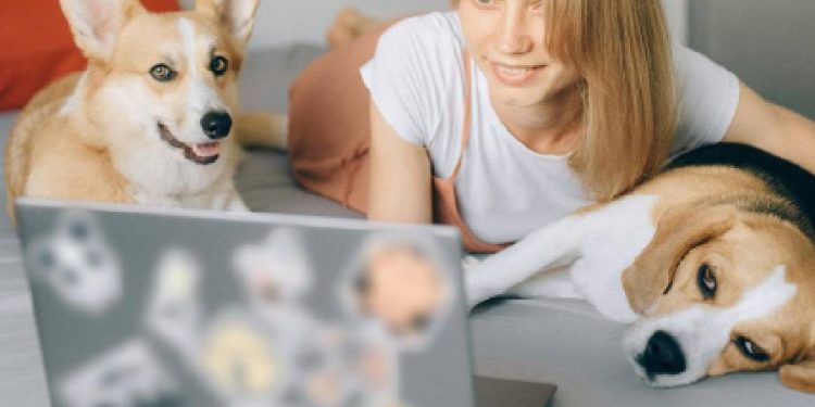 Cómo se posicionan las marcas más recordadas en servicios digitales y mascotas