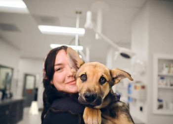 ¡Actúa a tiempo! Descubre los riesgos de no desparasitar a tu mascota
