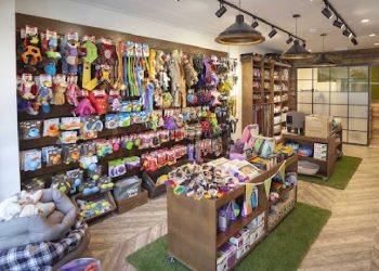 El auge de las tiendas de mascotas en Chile: ¿Una oportunidad rentable?