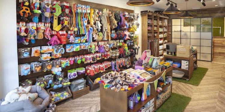 El auge de las tiendas de mascotas en Chile: ¿Una oportunidad rentable?