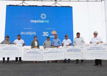 Programa de emprendimientos de Impulsared de Repsol