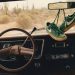 Nike y Devin Booker: una colaboración inspirada en el amor por los autos vintage