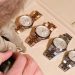 Rolex Land-Dweller: ¿por qué este nuevo reloj es tan importante?