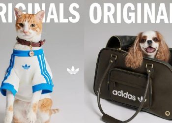 Adidas revoluciona el cuidado de mascotas con estilo