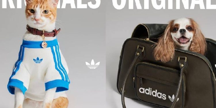 Adidas revoluciona el cuidado de mascotas con estilo