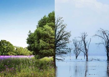 Condiciones climáticas estaciones invierno primavera