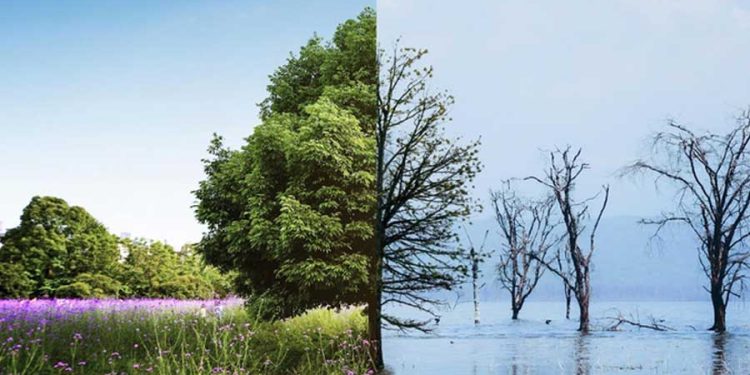 Condiciones climáticas estaciones invierno primavera