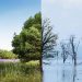 Condiciones climáticas estaciones invierno primavera