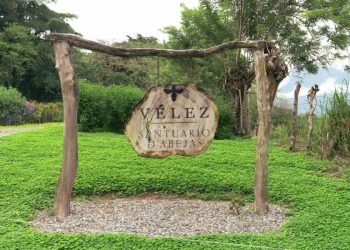 El santuario de las abejas artesanas, Cueros Vélez teje un compromiso de conservación