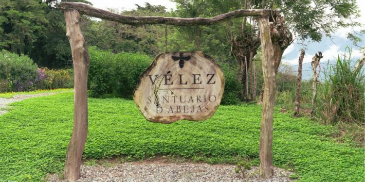 El santuario de las abejas artesanas, Cueros Vélez teje un compromiso de conservación