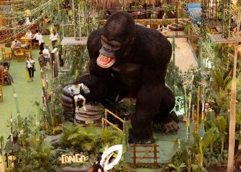 El Tesoro se transforma en ‘Congo, la Ruta del Gigante’