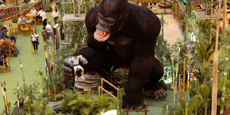 El Tesoro se transforma en ‘Congo, la Ruta del Gigante’
