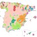 El mapa de los supermercados en España: una lucha territorial entre gigantes y emergentes