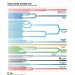 Fusiones bancarias en España: ¿Un cambio en el mapa financiero?