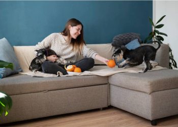 El boom de las mascotas en Colombia y su impacto en la búsqueda de vivienda