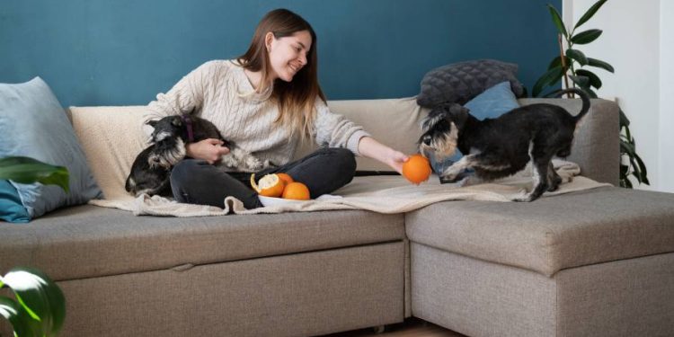 El boom de las mascotas en Colombia y su impacto en la búsqueda de vivienda