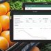 Innovación en retail alimentario: la revolución de la gestión inteligente de frescos con IA