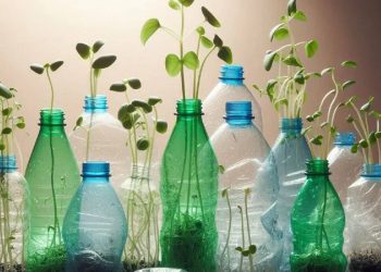 La nueva hoja de ruta de la industria de plásticos en España: Innovación, sostenibilidad y autonomía