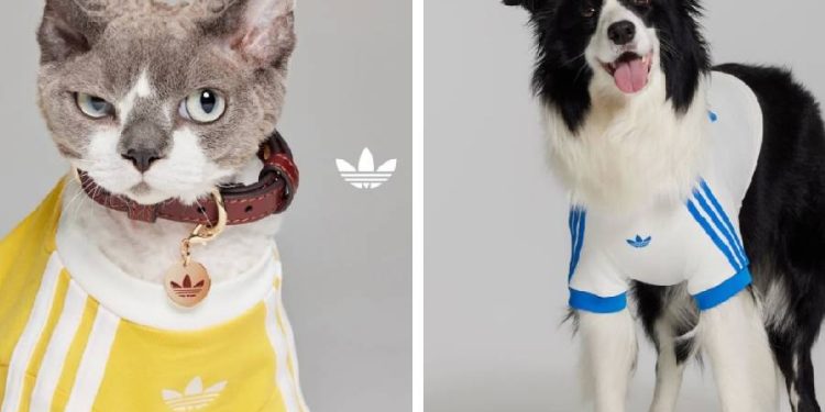Adidas Originals lanza una colección exclusiva para mascotas en China