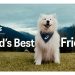 Un perro embajador de Asics impulsa el bienestar mental y físico