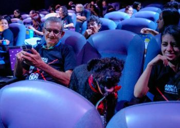 Cine para Mascotas: Cómo Animal World convierte el propósito en experiencia