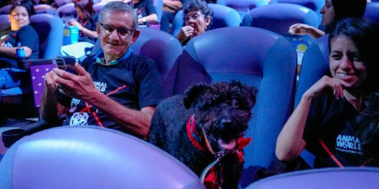 Cine para Mascotas: Cómo Animal World convierte el propósito en experiencia