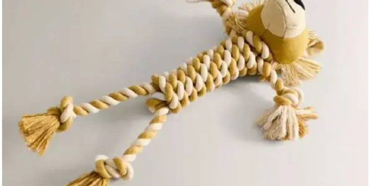 Zara lanza juguete para perros en crochet y conquista el mundo pet-friendly