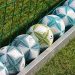 Pelotas balones de fútbol alineados