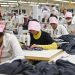 Recuperación industrial en la moda de España