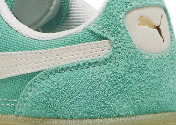 Riesgo y resiliencia: Puma en la encrucijada de 2025