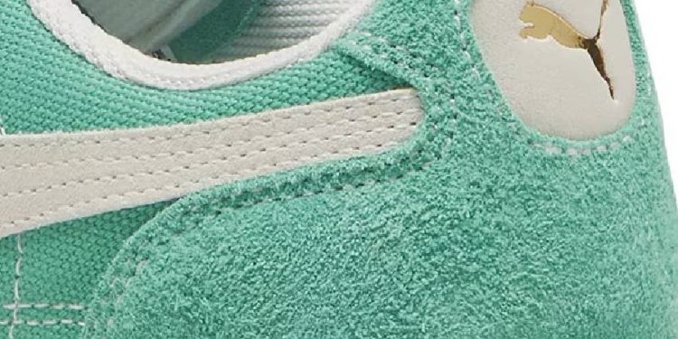 Riesgo y resiliencia: Puma en la encrucijada de 2025