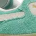 Riesgo y resiliencia: Puma en la encrucijada de 2025